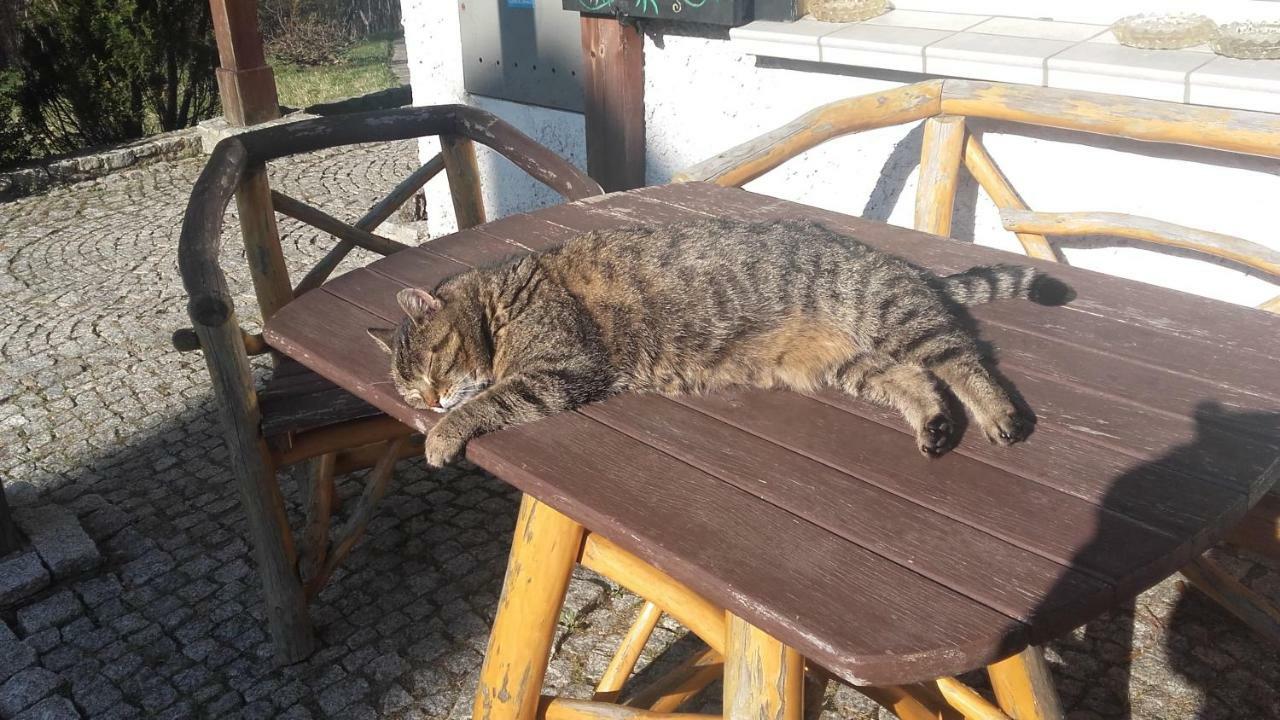 Willa Urocza Hotel Karpacz Esterno foto